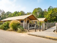Glamping tent Zoutelande