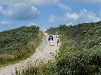 Vakantiepark de Meerpaal Zoutelande wandelen .jpg