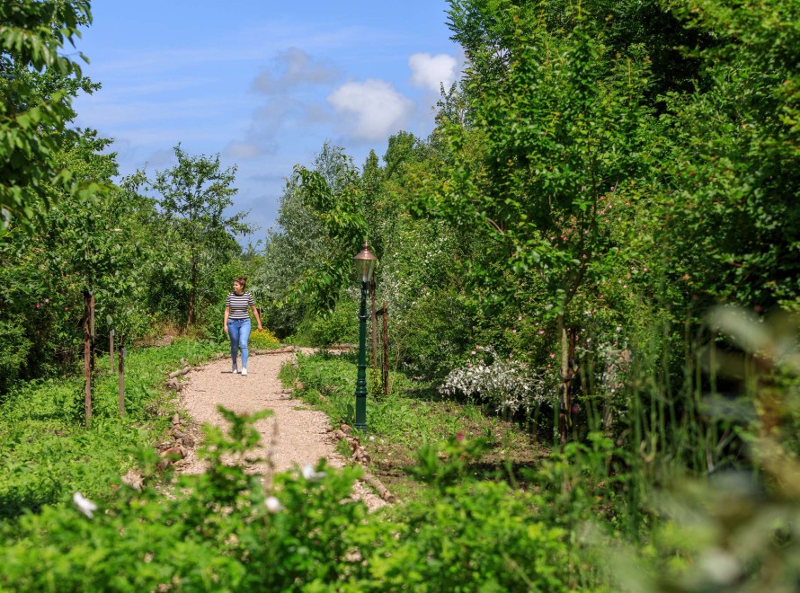 MP - faciliteit - Voedselbos - gast (1).jpg