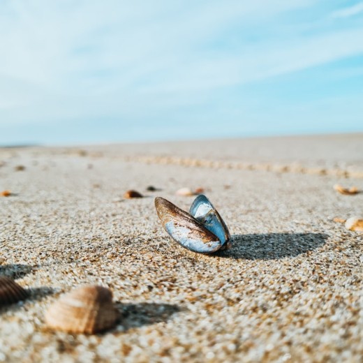 Het strand