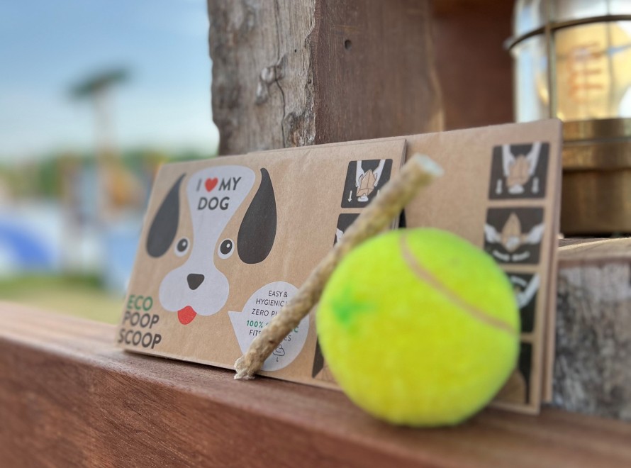 MP - faciliteit - Hond-huisdieren - welkomcadeauhond.jpg