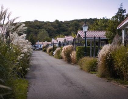 DSC_1377.jpg