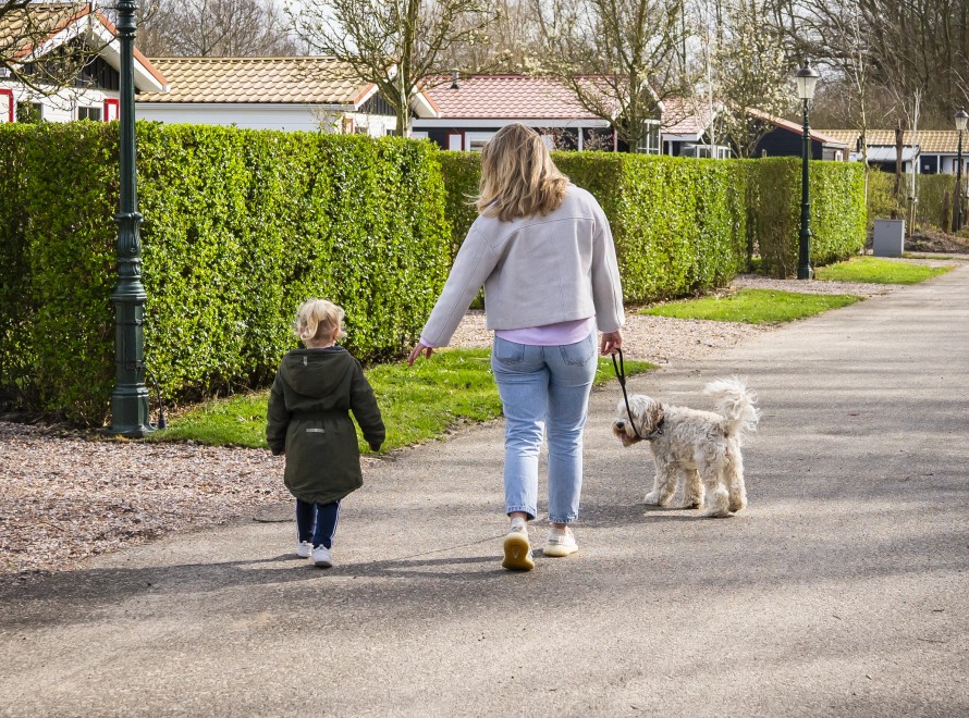 MP - faciliteit - Hond-huisdieren - Sam Puck en Nena - gast - kind (2).jpg