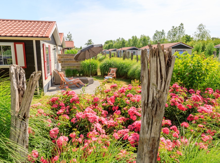 MP - huren - 2-persoons studio - buiten - zijkant - bloemen - gast.jpg
