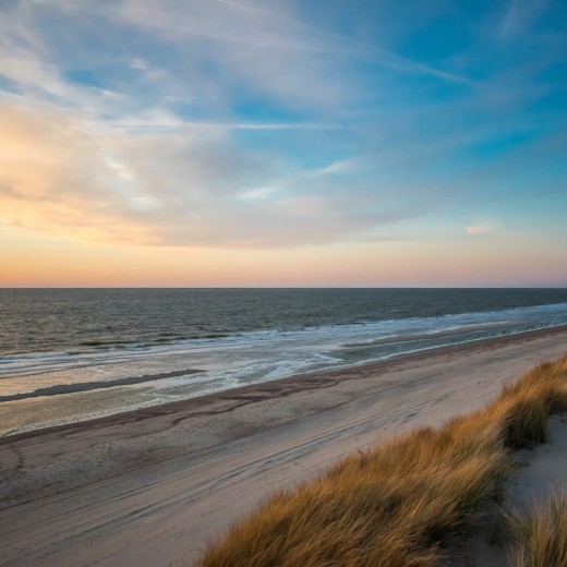 Omgeving